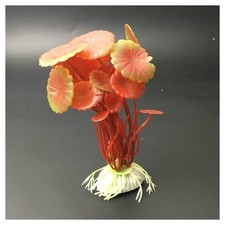 PIANTA 10 CM PIANTINA