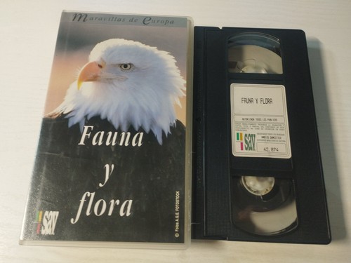 Meraviglie europa fauna - meraviglie,