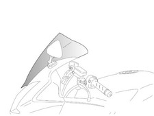 Puig Racing Parabrezza