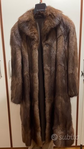 Pelliccia castorino spitz