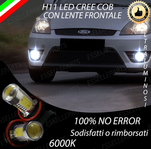 Coppia lampade fendinebbia h11 - coppia,