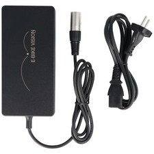 Caricabatteria rapido 6A per batterie e-bike 36 Volt Bosch, Panasonic e Gazelle, 