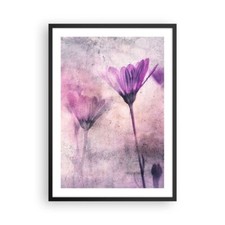Poster 50x70cm Fiori rosa