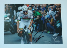 AUTOGRAFO TADEJ POGACAR HAND