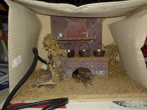 Ambientazione presepe fuoco - presepe,