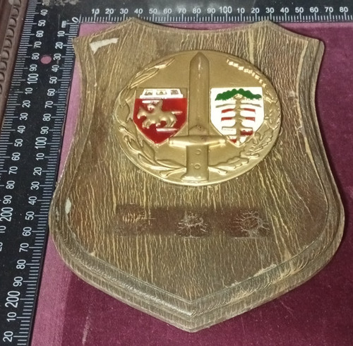 Crest fanteria brigata - fanteria,