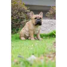 Statua Bulldog Francese Seduto