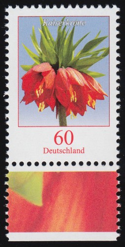 3043 fiore corona - imperiale, 60