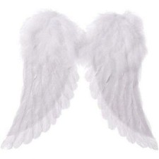 ALI BIANCHE PIUMATE CON