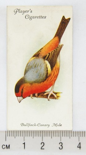 1933 john player sons - john,
