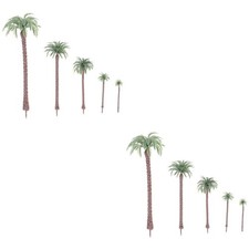  50 pz noci di cocco in