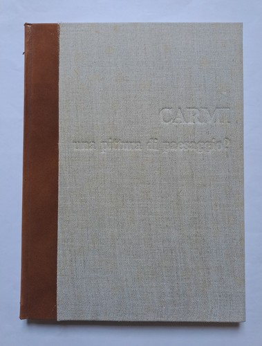 Eugenio carmi una pittura - eugenio,