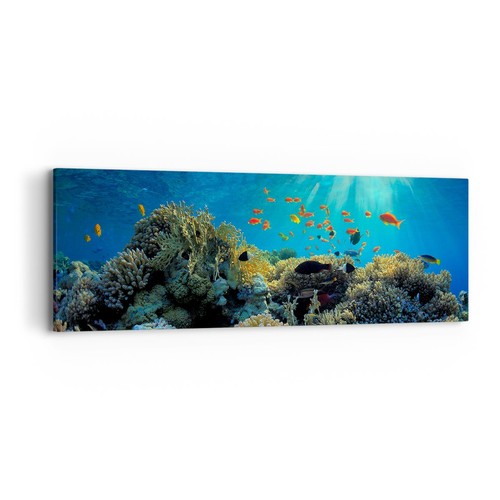 Quadro tela 90x30cm - tela,