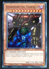 GUARDIANO DEL CANCELLO in