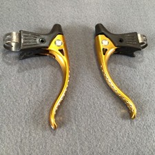 Vintage Modolo Gold & Black