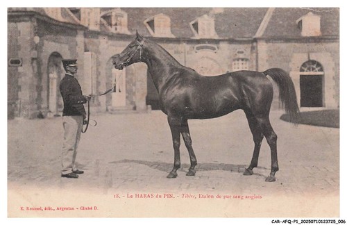 Car afqp1 0004 il - il, haras