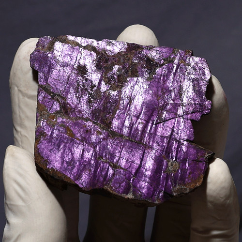 Tensione viola g lastra - ~,