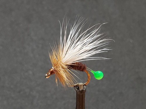 Caddis fly deposizione uova - deposizione,