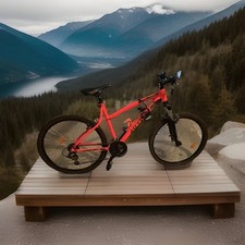 bicicletta uomo mountain bike