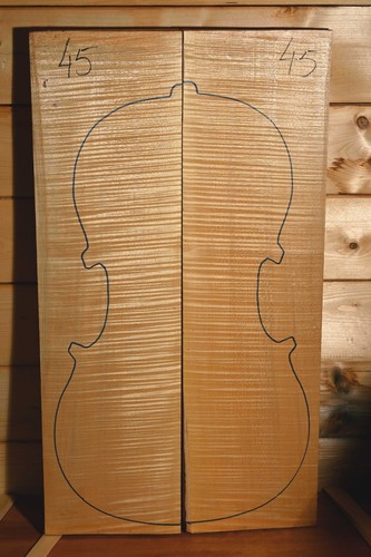 Legno per violoncello - , acero