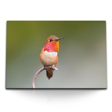 120x80cm wandbild auf - auf, leinwand