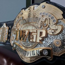 Cintura per adulti premium