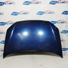 Cofano anteriore blu Volkswagen Polo 2008 ecoAC6291