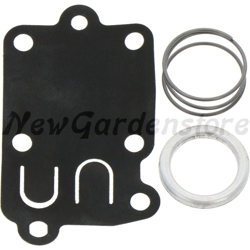 Set membrane carburatore