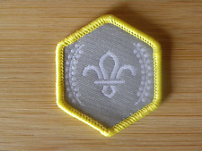 Current UK Scouting Cub Scout