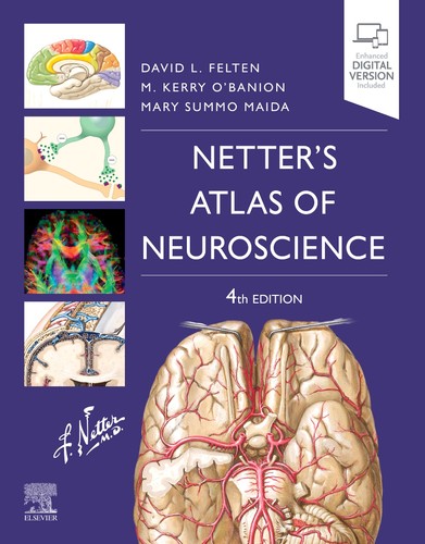 Netter atlas neuroscience - netter's, of