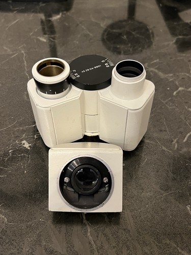 Zeiss standard testa - standard,