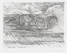 LAVAGNINO PIERLUIGI - natura