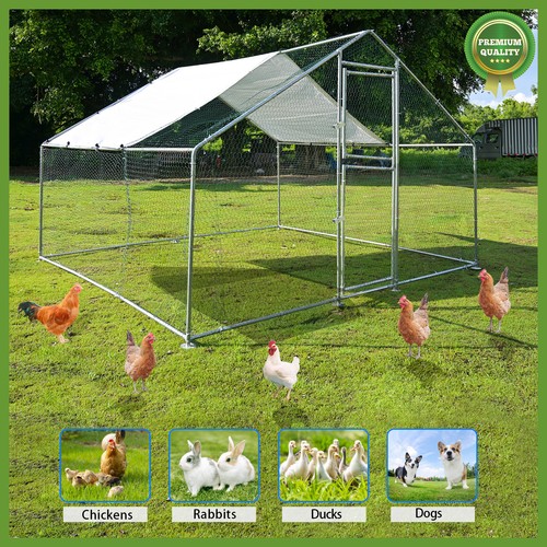 Gabbia pollaio 10x10x6 - ,6, piedi