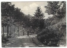 Maresca    ( Pistoia ) Via del Teso    , Viaggiata 1953 