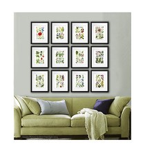 Set Di Botanico Stampe 12