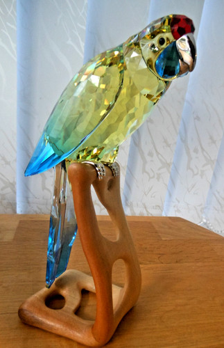 Pappagallo rosella verde - pappagallo,