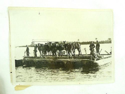 Foto militare ww2 - foto,