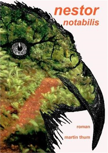 Nestor notabilis das land - nestor, notabilis:
