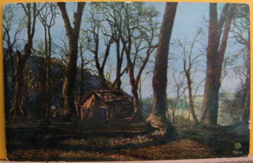 Casa nel bosco fp - (art219),