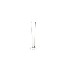 Vaso in vetro lungo 45x10 cm -