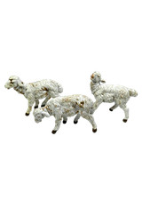 Pecore Fontanini per Pastori