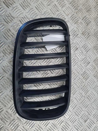 Griglia radiatore bmw e70 - griglia, x5
