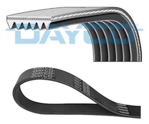 Cinghia poly 6pk1565 dayco - poly-v,