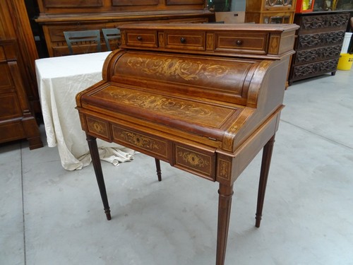 Elegante ribalta - , in