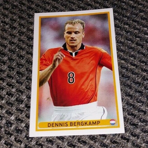Dennis bergkamp olanda - bergkamp,