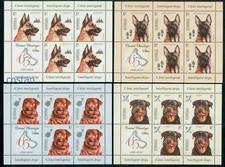 2015 Dogs,German shepherd/Red