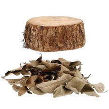 Vasche Per Tartaruga Accessori