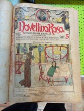 NOVELLINO ROSA Puccettino