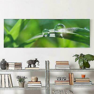 Quadro moderno ambiente - quadro, verde