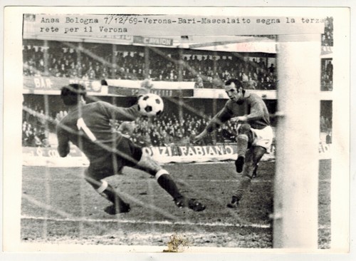 Foto archivio originale - originale, ansa